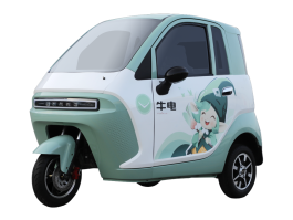 A801 | EEC & COC Certified 2-Seater Electric Tricycle | Compact 3-Wheel City Commuter Car