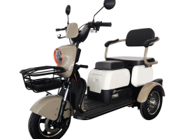 S1 | EEC Certified 1500W Enclosed Electric Tricycle - 2-Seater Low-Speed Vehicle for Adults