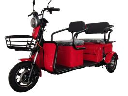 P100 | EEC/COC Approved 1000W Open-Air Electric Tricycle | 60V 3-Wheel Passenger Car for Leisure